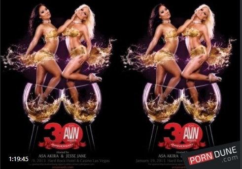2013 AVN Awards Show-lyz